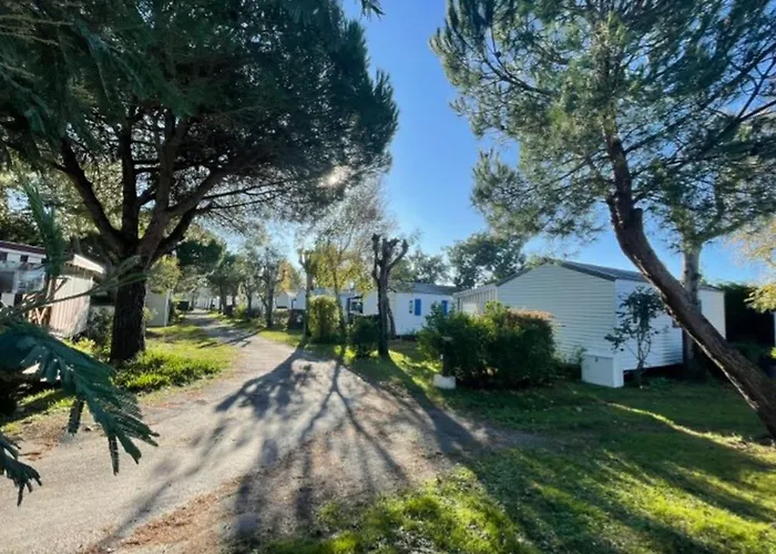 Parque de Campismo Mobil-home Avec Terrasse à Saint-pierre-d'oléron - Api-1-52-978